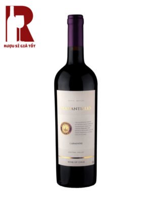 Ruou-Vang-Chile-Manantiales-Camenere