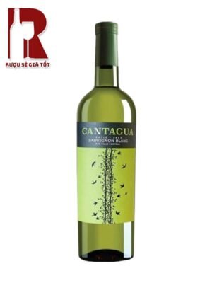 Rượu Vang Chile Trắng Cantagua Sauvignon Blanc