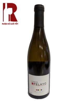 Ruou-Vang-Tay-Ban-Nha-Cepa-De-Pelayo-Macabeo