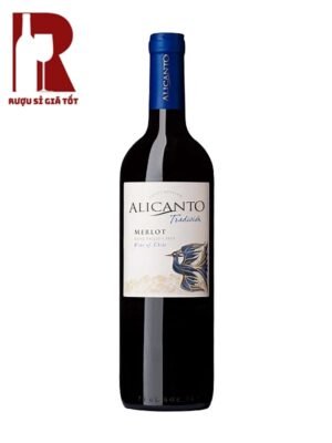 Rượu vang đỏ Chile Alicanto Tradicion Merlot