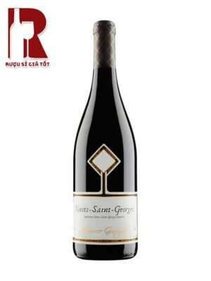 Vang-Phap-do-Domaine-Gavignet-Nuits-St-Georges-1er-Cru-Les-Chaignots