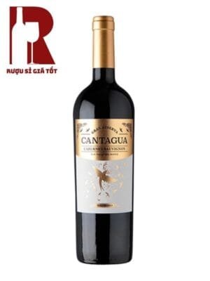 Vang đỏ Chile Cantagua Gran Reserva Cabernet Sauvignon