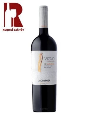 Vang đỏ Chile Vigno Old vines Dryfarmed Carignan