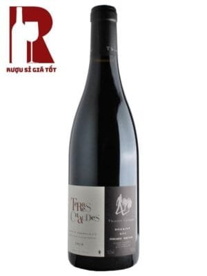 Vang đỏ Pháp Thierry Germain Domaine des Roches Neuves Chaudes Saumur Champigny