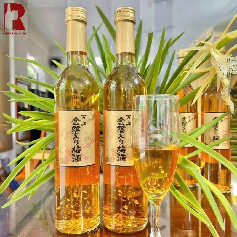 Hướng dẫn cách bảo quản rượu mơ vảy vàng đúng