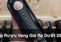 Top 15+ chai rượu vang ngon giá rẻ dưới 200K